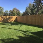 Backyard Fence